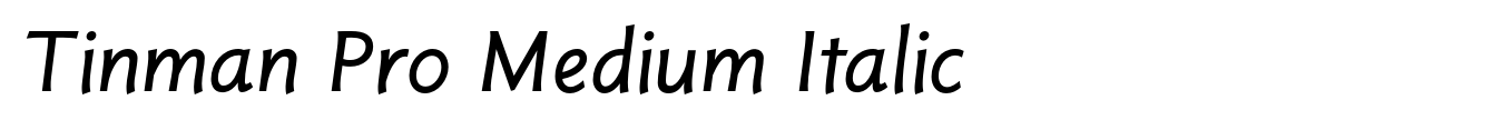 Tinman Pro Medium Italic image